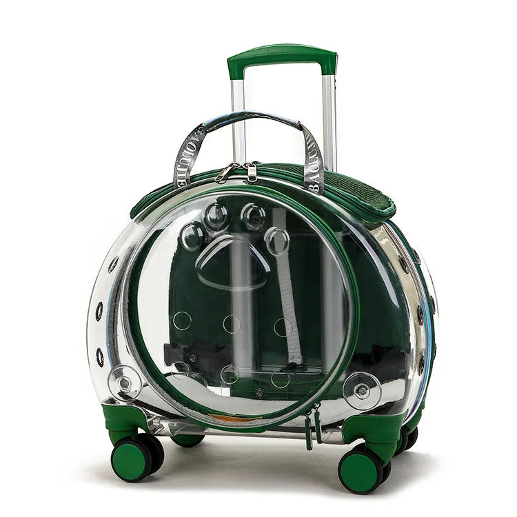 Transparent Space Cat Travel Capsule