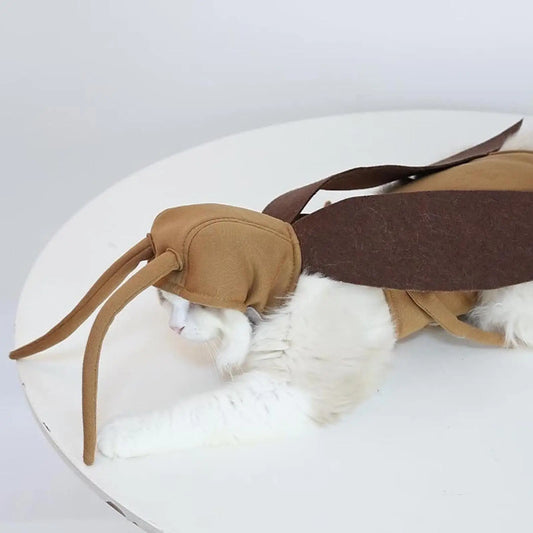 Halloween Costume for Cats