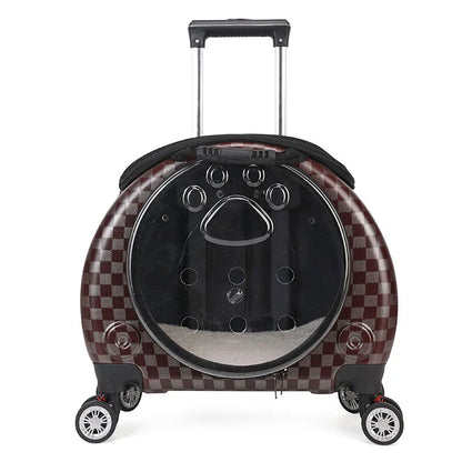Transparent Space Cat Travel Capsule