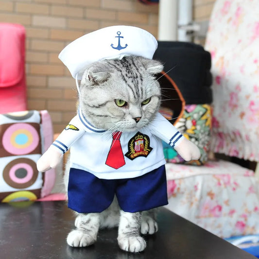 Halloween Cat costumes