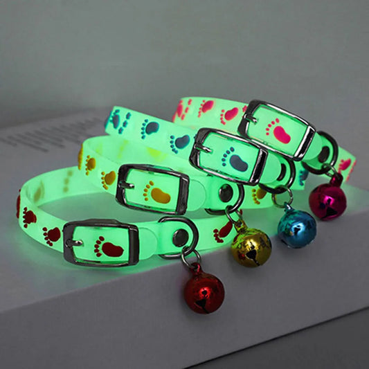 Small Dog Cat Collar
