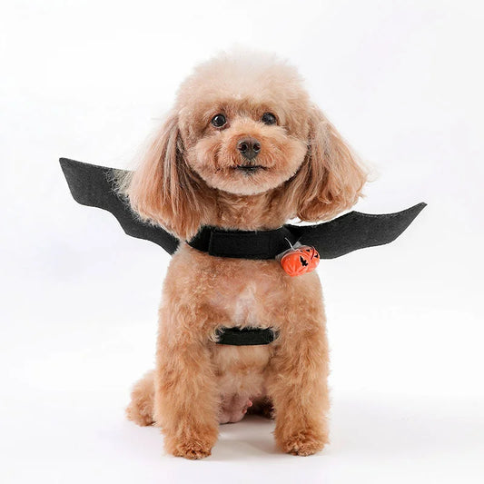 Halloween Pets Role-playing Party Costume